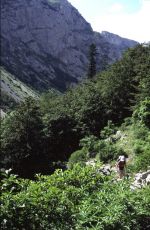 Durmitor