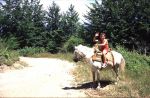 Tocht van Mokovac naar Kolasin