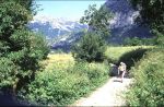 De asfaltweg vanuit Velje Duboko naar Medjurijece