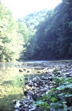 De oorsprong van de rivier de Kupa